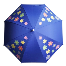 變（biàn）色後