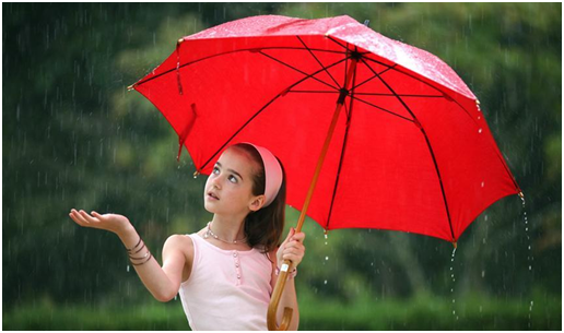 暴雨專用雨（yǔ）傘