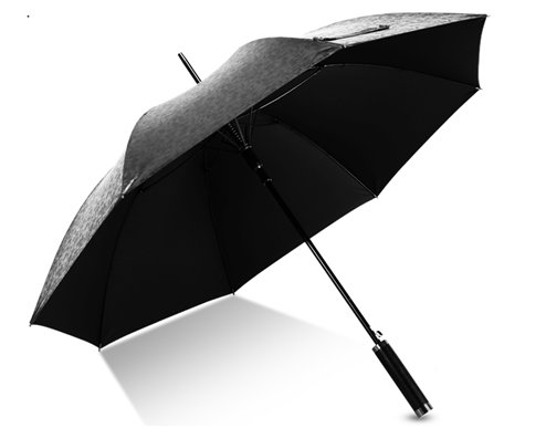 直骨傘