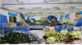 羞羞的网站在线观看傘（sǎn）廠